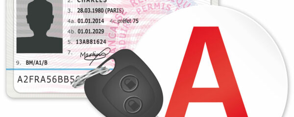 Le permis B